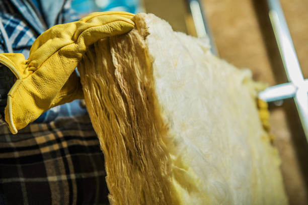 Best Energy-efficient Insulation  in Su Oswego, NY