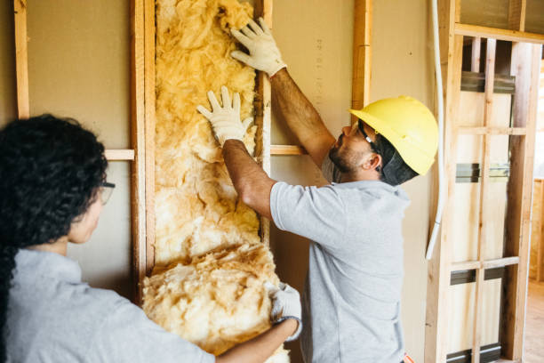 Best Insulation Repair Services  in Su Oswego, NY