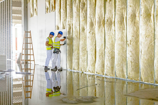 Best Soundproof Insulation Installation  in Su Oswego, NY